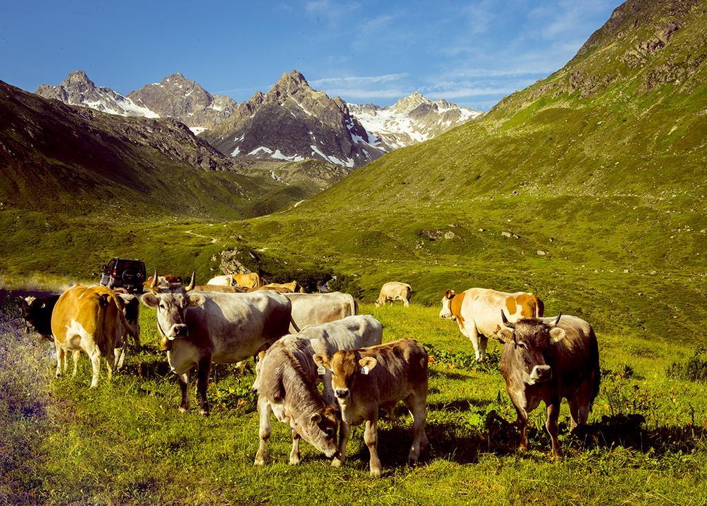 Alpenpension Maderer Gaschurn Eksteriør billede