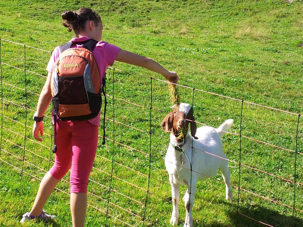 Alpenpension Maderer Gaschurn Værelse billede