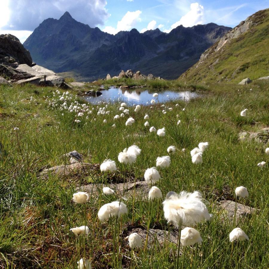 Alpenpension Maderer Gaschurn Eksteriør billede